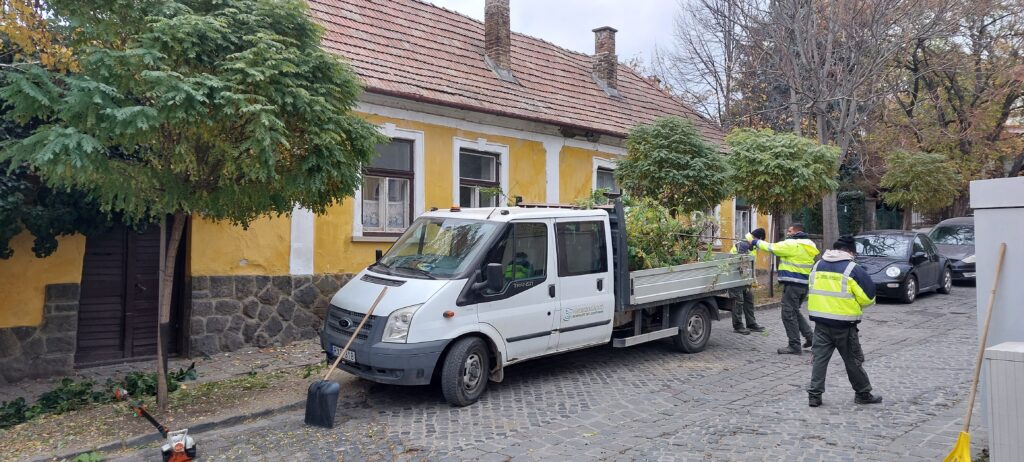 Folyamatosan végzi a gallyazásokat Szentendrén a VSZ